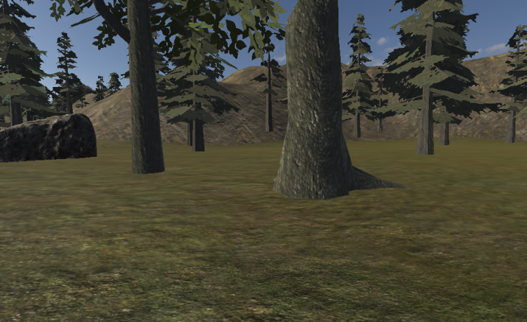Gein Forest
